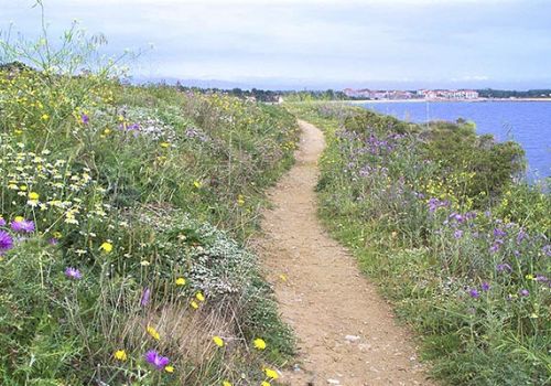 Camping Argelès-sur-Mer Ciela Village Les Marsouins Sentier Littoral