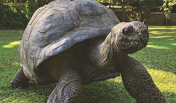 Camping Argelès-sur-Mer Ciela Village Les Marsouins Vallée des Tortues