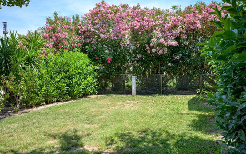 Camping Argeles-sur-Mer Ciela Village Emplacement Nu