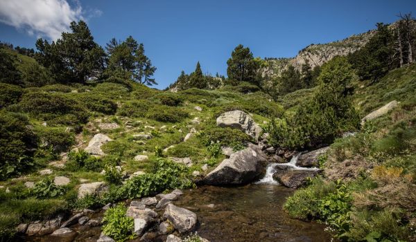 Camping Argelès-sur-Mer Ciela Village Les Marsouins Mosset