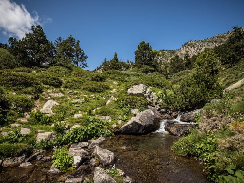Camping Argelès-sur-Mer Ciela Village Les Marsouins Mosset