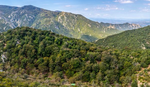 Camping Argelès-sur-Mer Ciela Village Les Marsouins Forêt de la Massane