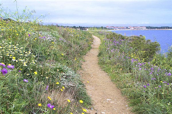 Camping Les Marsouins Ciela Village randonnées Argelès sur mer