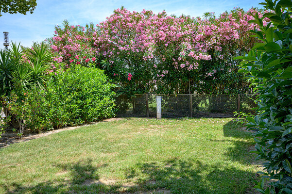 Emplacement Camping Argeles Sur Mer (3)